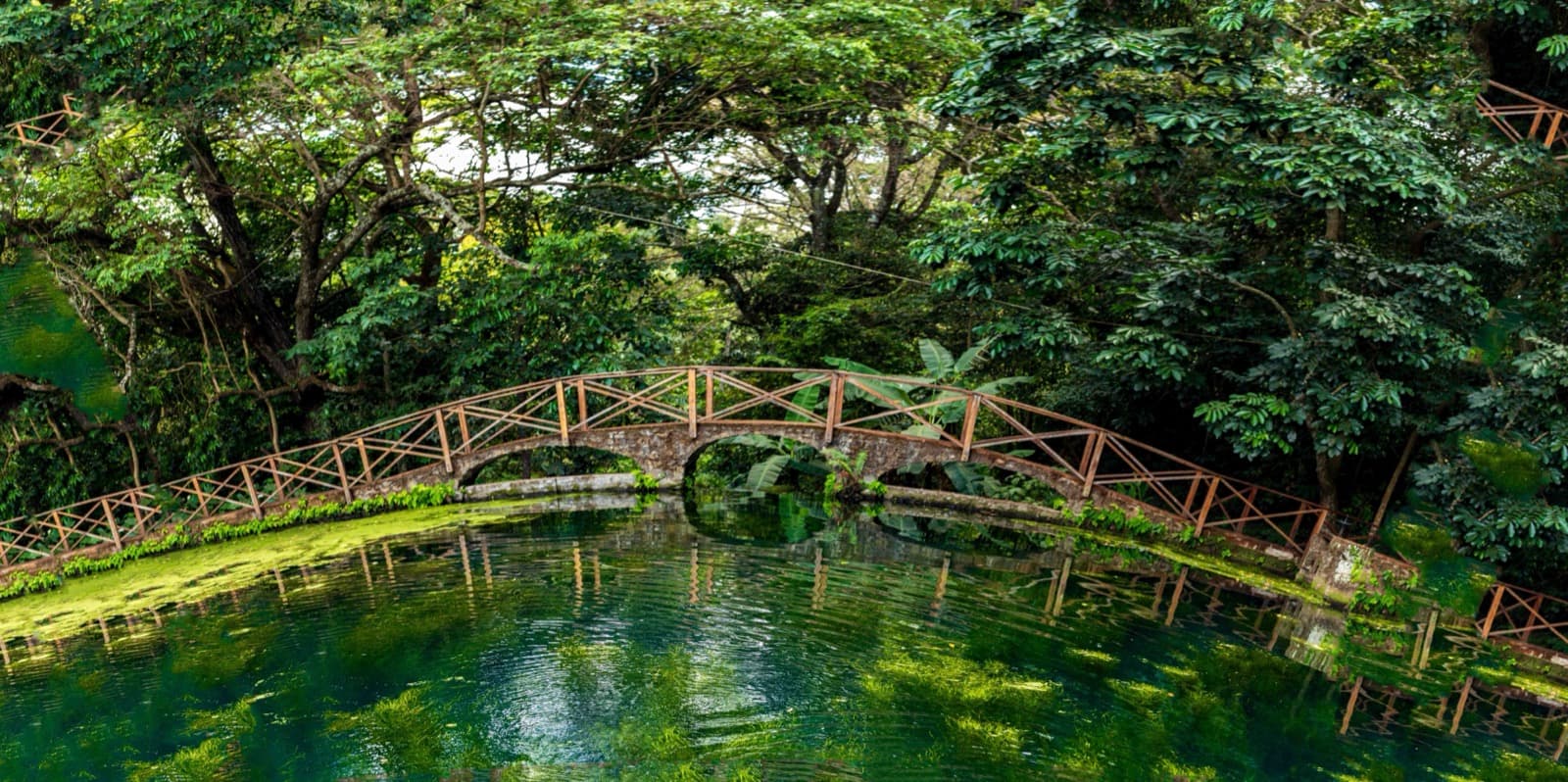 Community watershed restoration with paid caretakers — green jobs Tanzania OTESHA