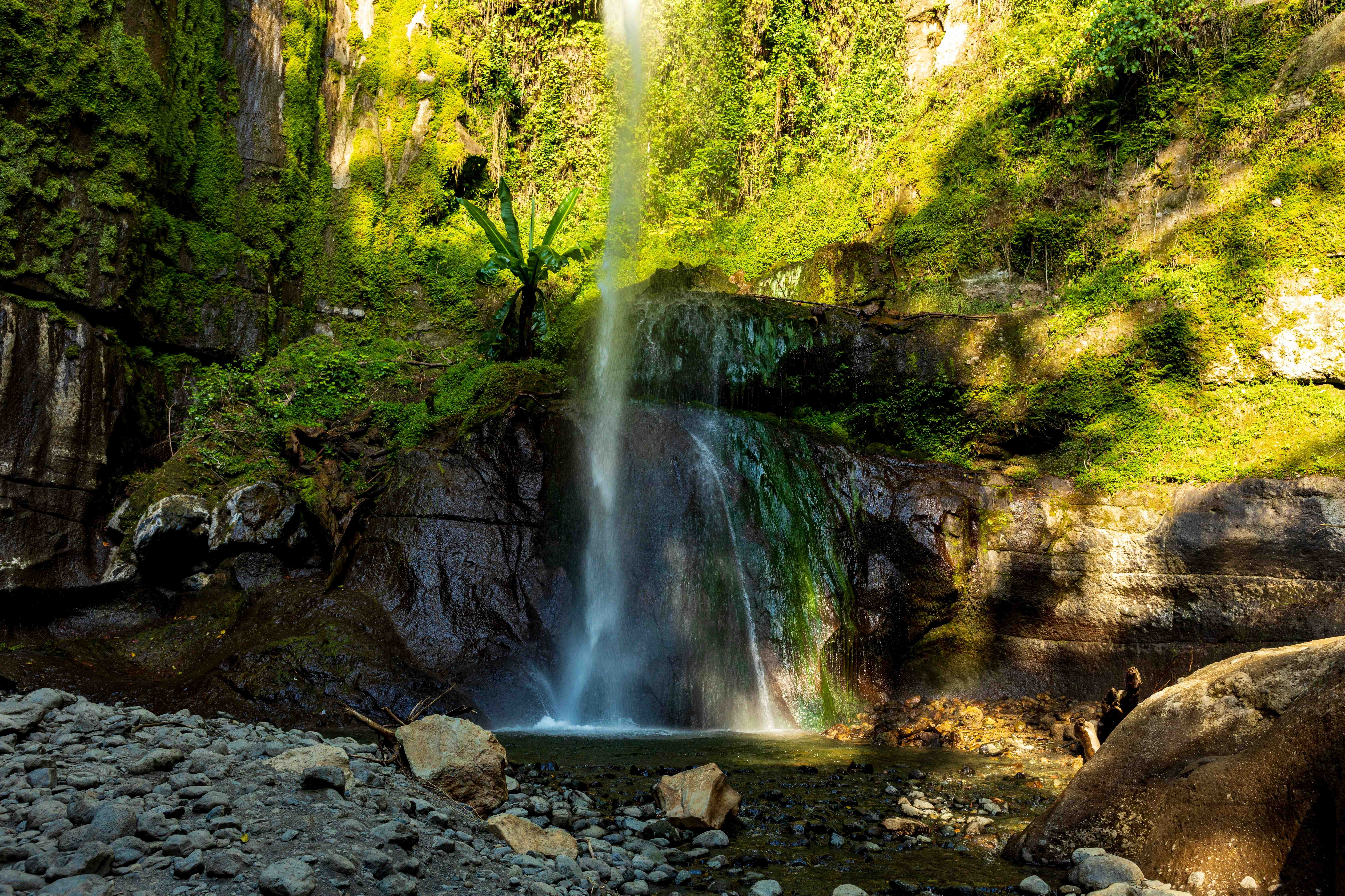 Waterfall cascading over mossy rocks in a tropical forest